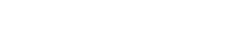 Optimum Nutrition logo